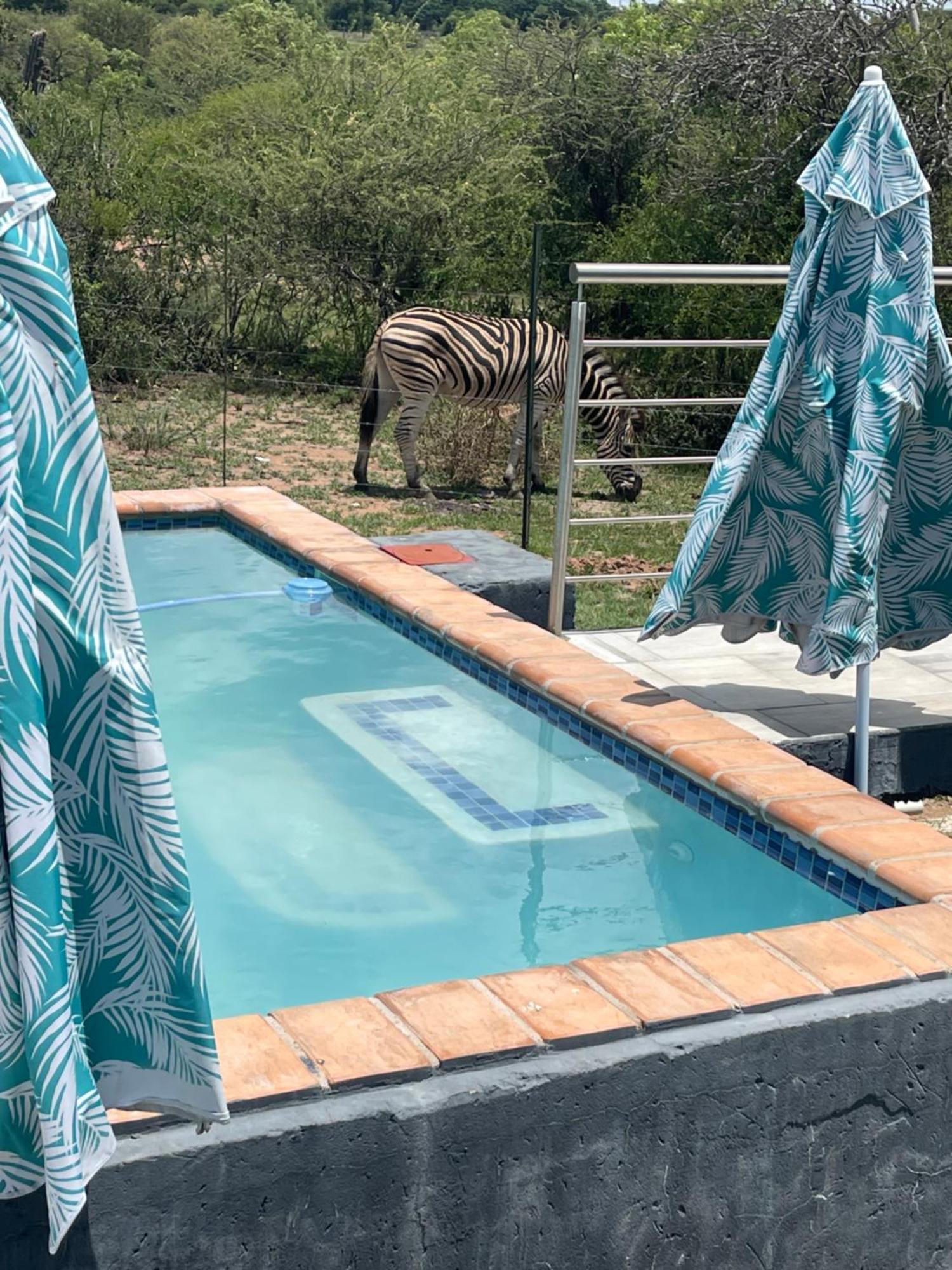 Kings View Exclusive Villas Pretoria-Noord Kültér fotó