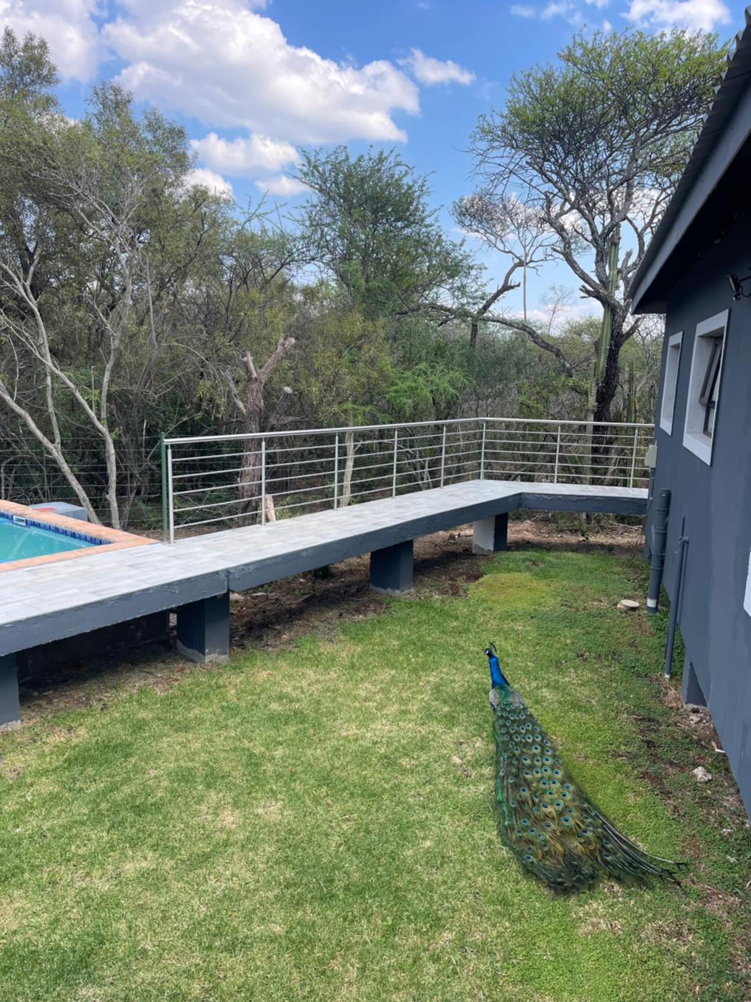 Kings View Exclusive Villas Pretoria-Noord Kültér fotó